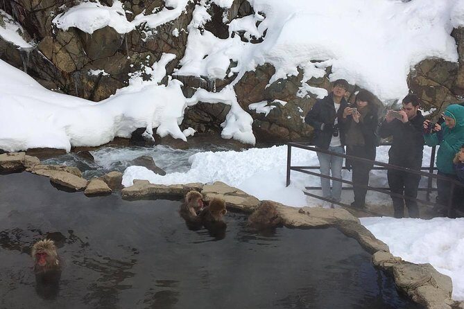 Explore Jigokudani Snow Monkey Park with a Local Guide - Enza Cafe & Ramen Enza: A realistic break while the day moves