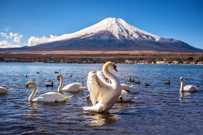 Explore Local Tokyo: Buddhism & Shinto - What 1 to 2 Hours Feels Like (and Who This Tour Suits Best)