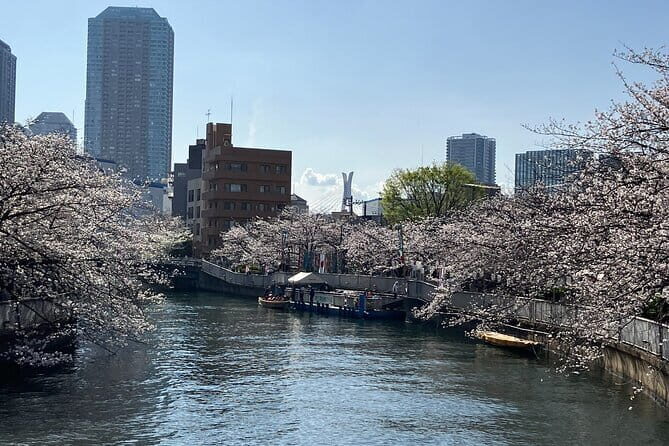 Explore Local Tokyo: Buddhism & Shinto - Water Channels: The Unseen Engine of Shitamachi Life