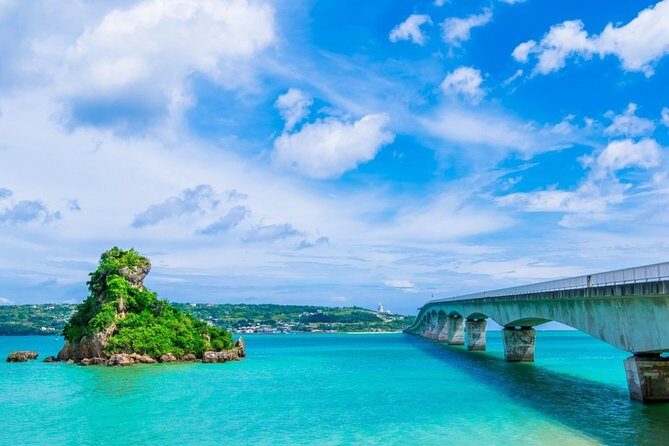 Explore Okinawa with Private Alphard Car Hire - Private Alphard Car Hire: why a full day feels effortless