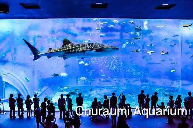 Explore Okinawa with Private Sedan Car Hire Driver - Key Points to Know Before You Go