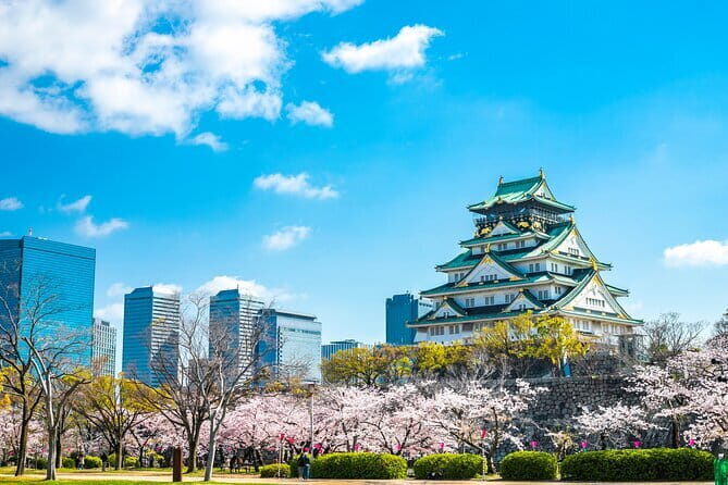Explore Osaka | Private Tour - Local English Driver(guide option) - Key highlights you’ll actually care about
