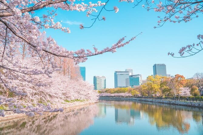 Explore Osaka | Private Tour - Local English Driver(guide option) - Why a private Osaka car makes the whole day easier