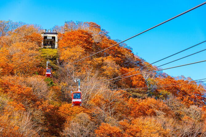 Explore the Culture and History of Nikko with this Private Tour - Guide quality: why fluent English and good timing matter