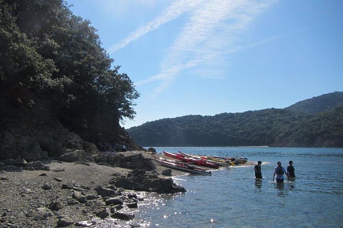 Explore the Nature that Inspired Ghibli Movies by Kayak (Half Day) - Kayak Route Basics: Half-Day Timing and What 3 Hours Means