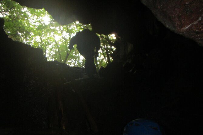 Exploring Mt Fuji Ice Cave and Sea of Trees Forest - Getting to Narusawa and what “pickup” really gives you
