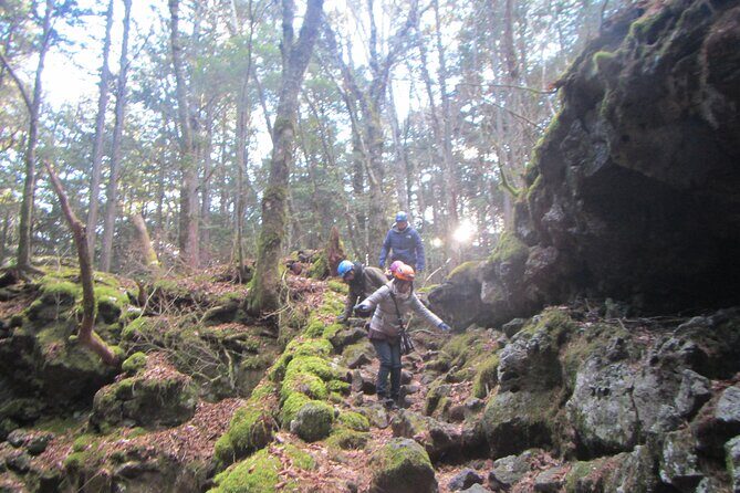 Exploring Mt Fuji Ice Cave and Sea of Trees Forest - The Jukai story: why you need a guide to get the meaning