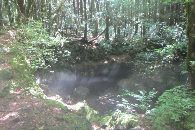 Exploring Mt Fuji Ice Cave and Sea of Trees Forest - Ice cave time: what year-round ice looks like in real life