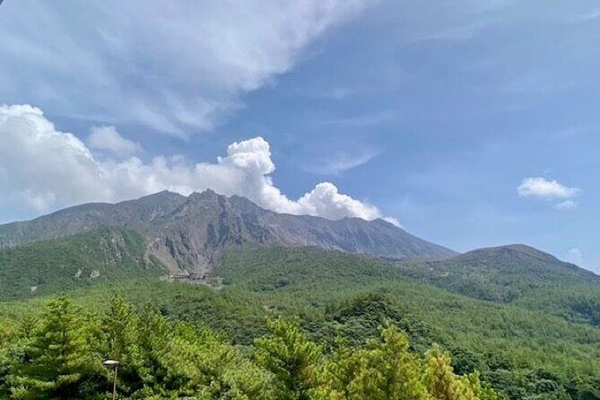 Exploring Sakurajima's History Half Day Walking Tour in Kagoshima - Key highlights you’ll actually notice
