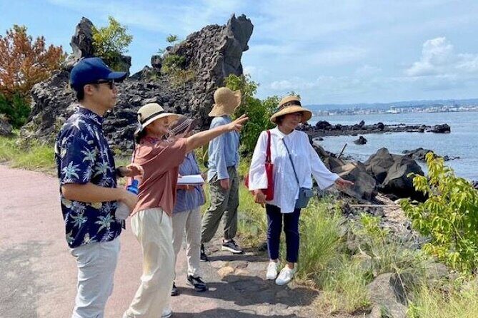 Exploring Sakurajima's History Half Day Walking Tour in Kagoshima - Getting to the start: the ferry-side meeting point matters