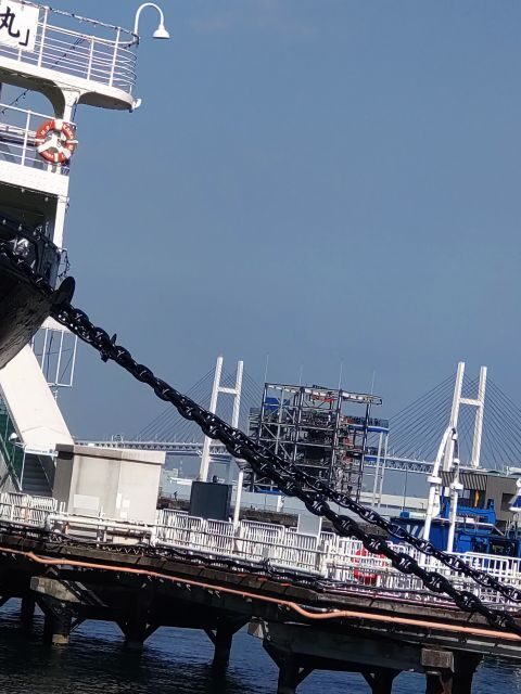 'Feel Yokohama!'Private tour in English - Who this tour suits best