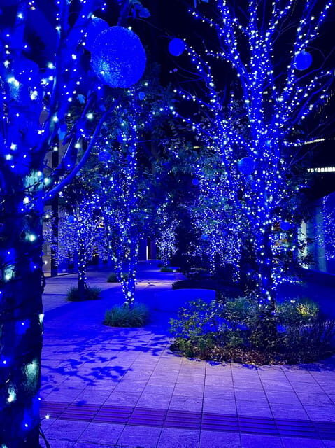 Find Yokohama's Hidden Gem: Walking Tour with Local Guide - Key points to know before you go