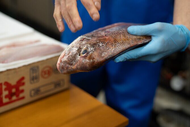 Fish Cutting workshop in Kyoto Japan - Practical Tips for First-Timers Cutting Raw Fish