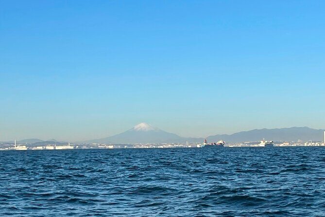 Fishing with Mt. Fuji Views and Japanese Home Cooking Experience - Fishing for shirogisu: what it’s like on the boat
