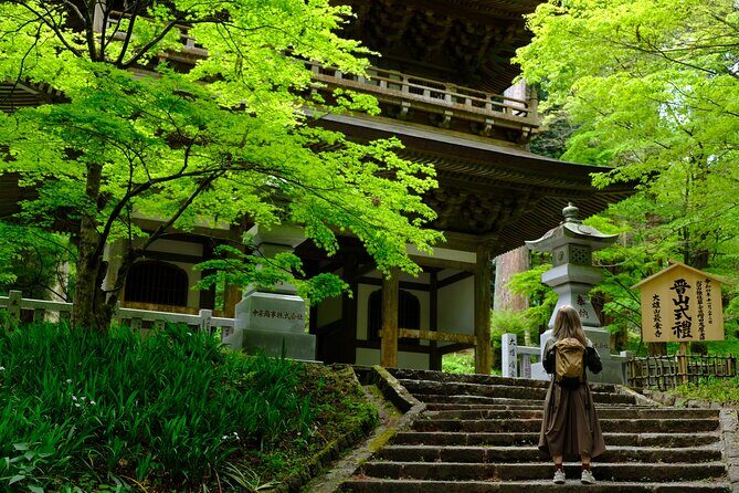 Forest Bathing in Temple and Enjoy onsen with healing power - Key Points Worth Knowing