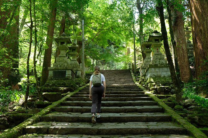Forest Bathing in Temple and Enjoy onsen with healing power - 湯冶温泉 After the Walk: The Real Payoff