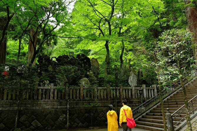 Forest Bathing in Temple and Enjoy onsen with healing power - The Cedar and Cypress Path: Where the Forest Bathing Happens