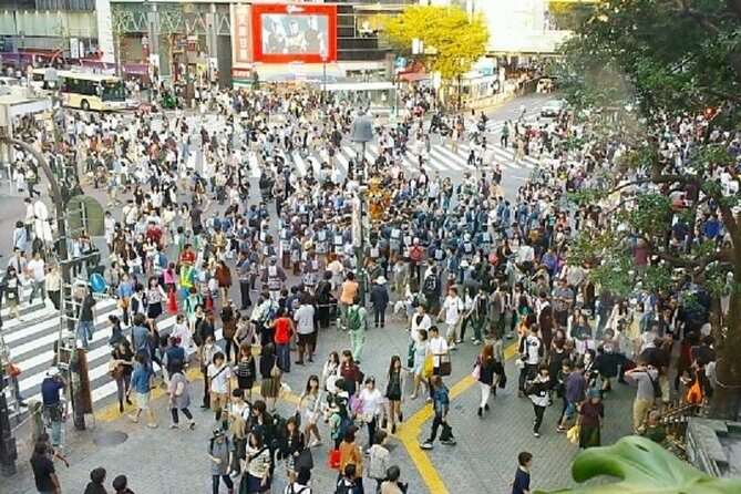 Free Choice of Itineraries Tokyo Private Tour - Shibuya Crossing for a photo-and-feel moment