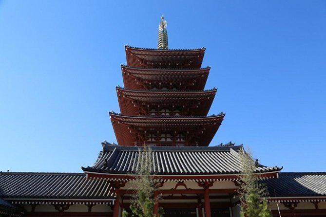 Freely set up plans Guided Private Tours in Tokyo - Meiji Jingu and Tokyo Tower: Sacred Calm and Retro City Energy