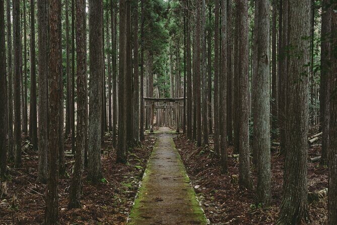 From Bamboo to Hidden Shrines: Kyoto’s Private Escape Tour by Car - Key highlights at a glance