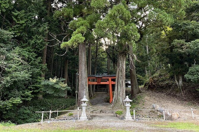 From Bamboo to Hidden Shrines: Kyoto’s Private Escape Tour by Car - Stop 1: Arashiyama Bamboo Forest Without the Worst Crowds