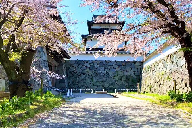 From Fukuoka Kyushu Itoshima Hidden Gems Day Tour - Keya no Ōto Park Totoro Trail: Cute Theme Vibes, Mixed Expectations