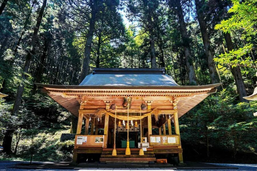 From Fukuoka: Miyazaki, Takachiho Gorge and Shrines Day Tour - Key things I’d circle in your planner