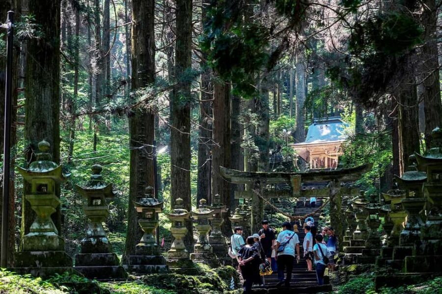 From Fukuoka: Miyazaki, Takachiho Gorge and Shrines Day Tour - A 10-hour shuttle day that still feels full