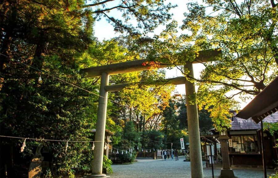 From Fukuoka: Miyazaki, Takachiho Gorge and Shrines Day Tour - Amano Yasugawara: building a wish tower from stones