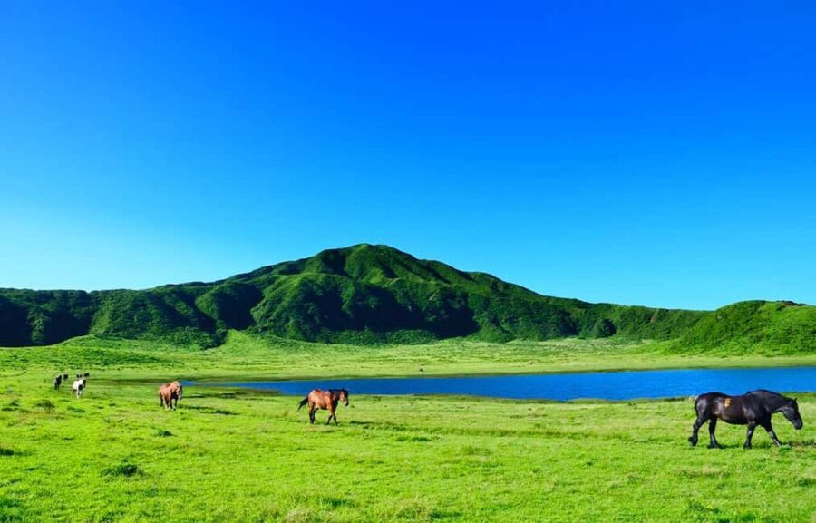 From Fukuoka: Mount Aso, Kurokawa Onsen, and Shrine Tour - Nakadake Crater: When the Volcano Lets You See It
