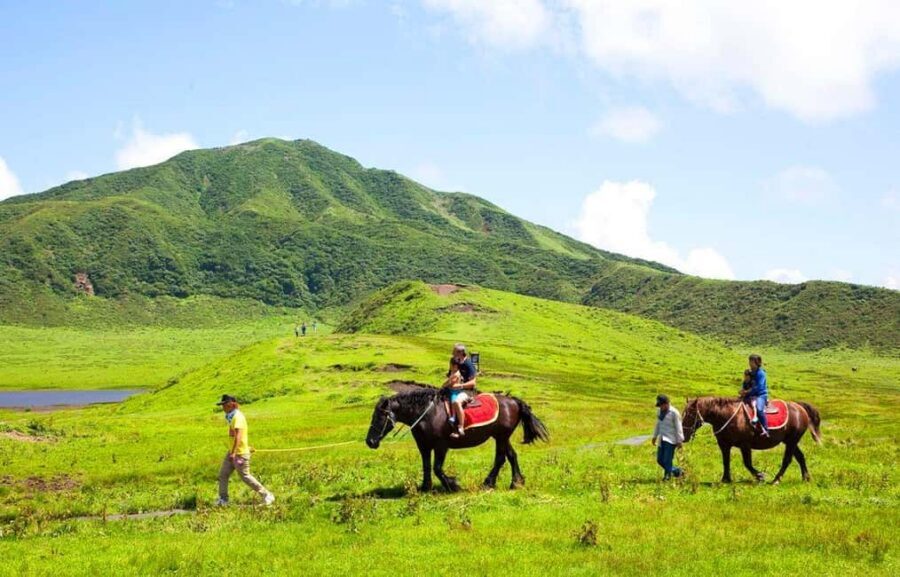 From Fukuoka: Mount Aso, Kurokawa Onsen, and Shrine Tour - Aso Jinja: Old Shinto and a Calm Cultural Reset