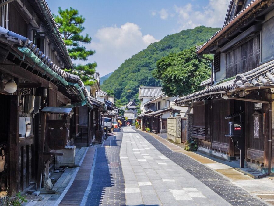 From Hiroshima: Rabbit Island and Takehara Town Tour - Free time on the island: feeding rabbits, pictures, and choosing your own pace