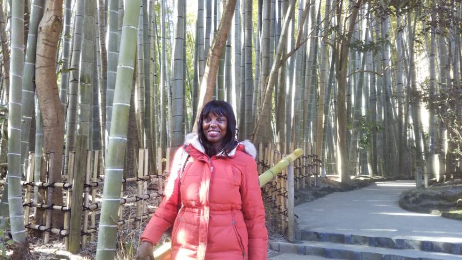 From Kamakura: Daibutsu Hiking Trail Tour with Local Guide - Transportation and Costs: What’s Included and What You Handle