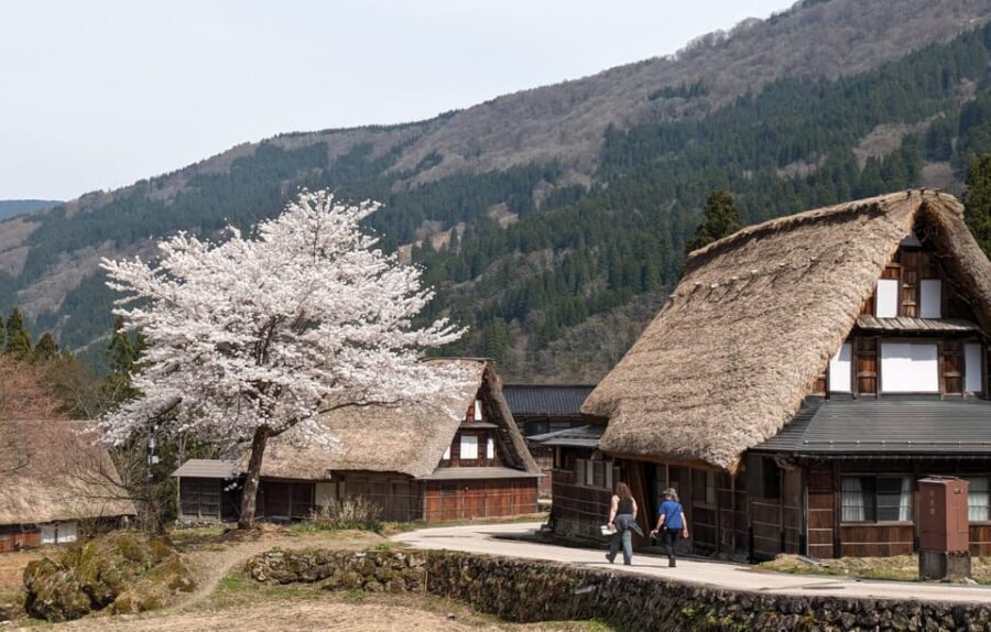 From Kanazawa: Shirakawa-go, Gokayama and Wood Carving Art - Matcha break in Shima: the pause you might not expect