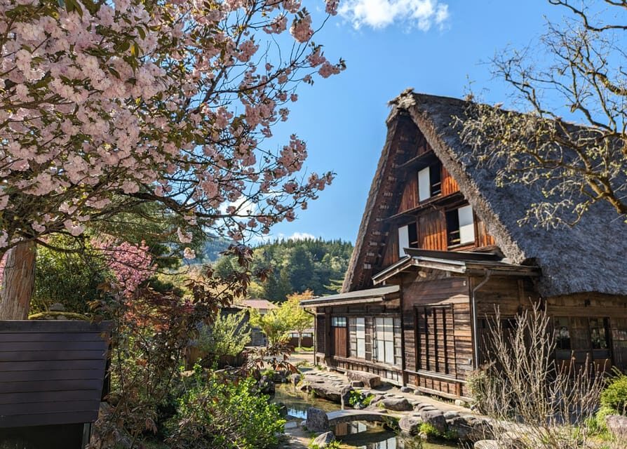 From Kanazawa: Shirakawa-go, Gokayama and Wood Carving Art - Who should book this tour