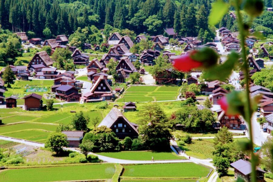From Kanazawa: Shirakawago, Hida-Furukawa and Takayama Visit - Practical Tips That Make This Tour Feel Easier