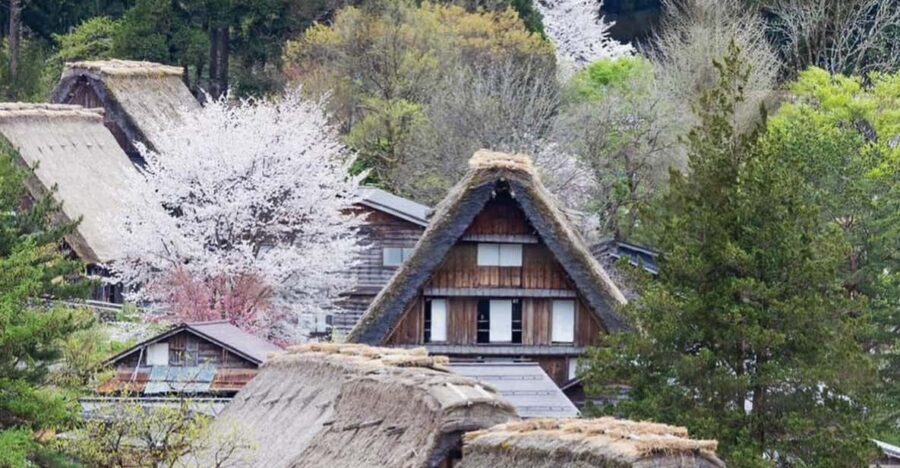 From Kanazawa/Toyama: Shirakawago and Takayama Day Tour - Takayama Jinya and Old Town streets: history, snacks, and browsing