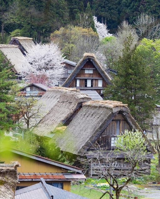 From Kanazawa/Toyama: Shirakawago and Takayama Day Tour - Price and value: $580 per group (up to 3)