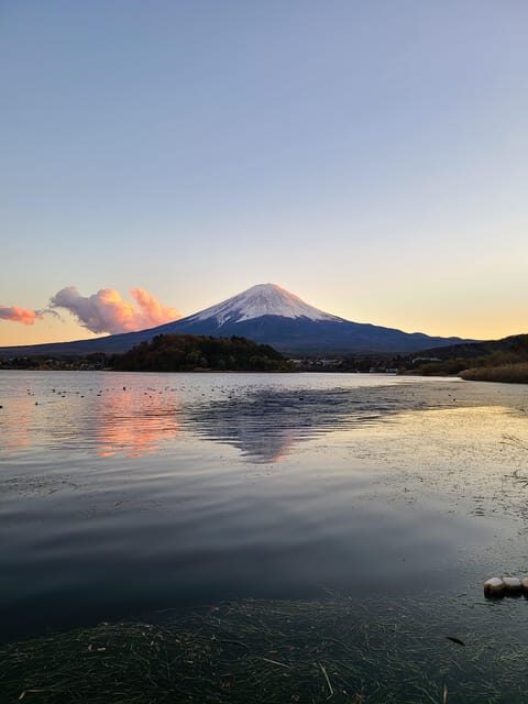 From Kawaguchiko: Mt. Fuji Private Tour with a Local Guide - Key points worth knowing before you go