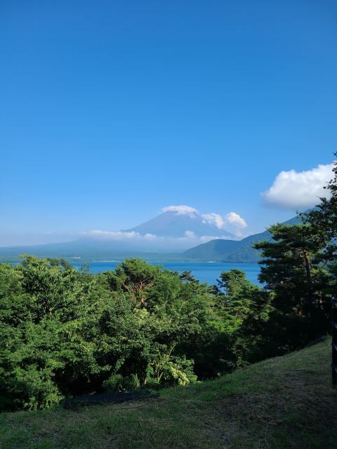 From Kawaguchiko: Mt. Fuji Private Tour with a Local Guide - Oishi Park for Snacks, Shopping, and Easy Walk Moments