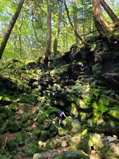 From Kawaguchiko: Mt. Fuji Private Tour with a Local Guide - Haha-no-Shirataki Waterfall: A Walk That Adds Motion