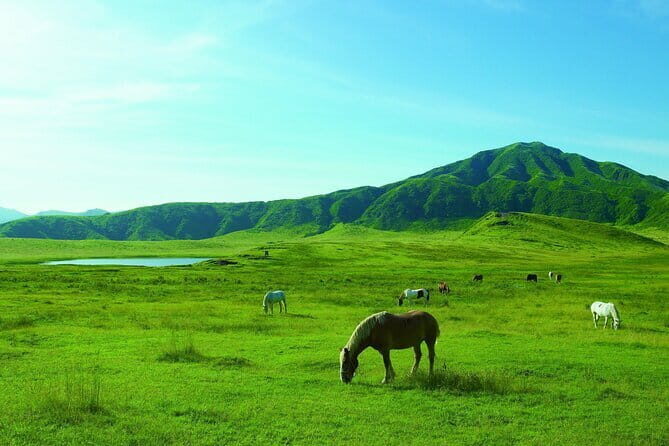 From Kumamoto : Mt.Aso and Takachiho All-inclusive Private Tour - HAKUSUI no KURA and Aka beef lunch: local comfort with planning done