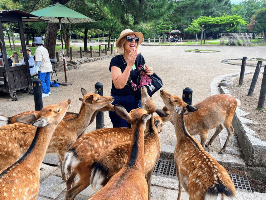 From Kyoto: Nara Guided Morning Tour - Passing the time on the coach with a real plan
