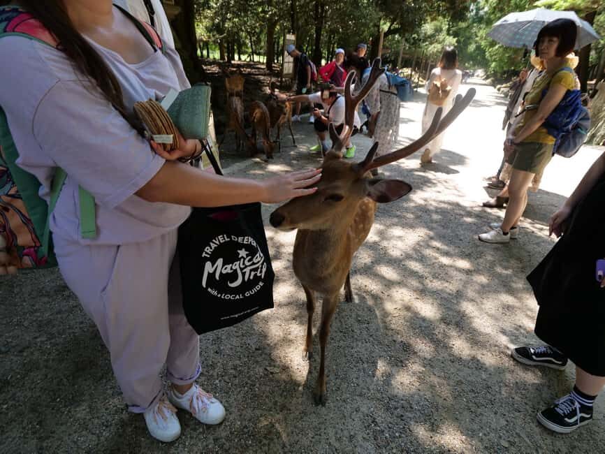 From Kyoto or Osaka: Kyoto Highlights & Nara Park Day Trip - Fushimi Inari: The Red Torii Tunnel and the Blessing Moment