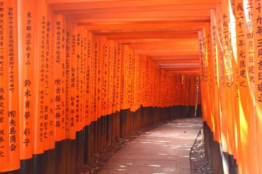 From Kyoto or Osaka: Kyoto Highlights & Nara Park Day Trip - Price and Value: What $69 Really Buys (and What It Doesn’t)