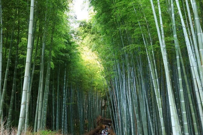 From Kyoto / Osaka: Kyoto Must-see Spots & Nara Park One Day Tour - Nara Park: Deer Encounters in a Massive Classic Park