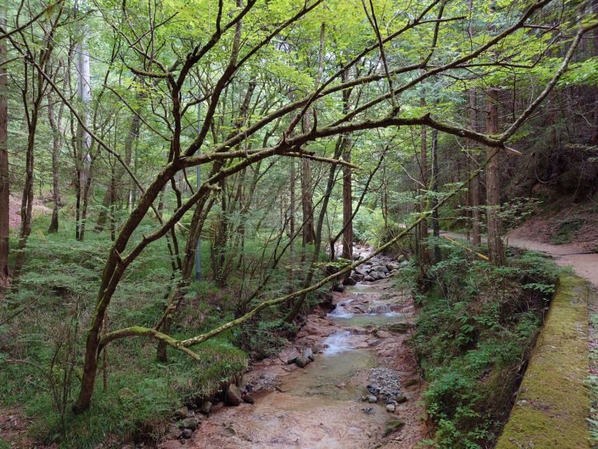 From Matsumoto/Nagano: Nakasendo Trail Walking Tour - Price and logistics: what $189 buys (and what to budget)