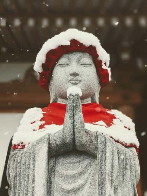 From Myoko Kogen: Snow Monkey Park and Zenkoji Temple Tour - Starting in Myoko and Madarao: how the day flows