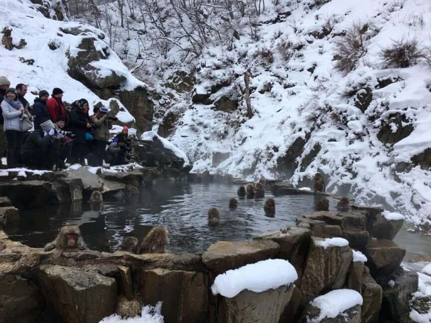 From Myoko Kogen: Snow Monkey Park and Zenkoji Temple Tour - Zenkoji Temple: what you gain from a guided walk