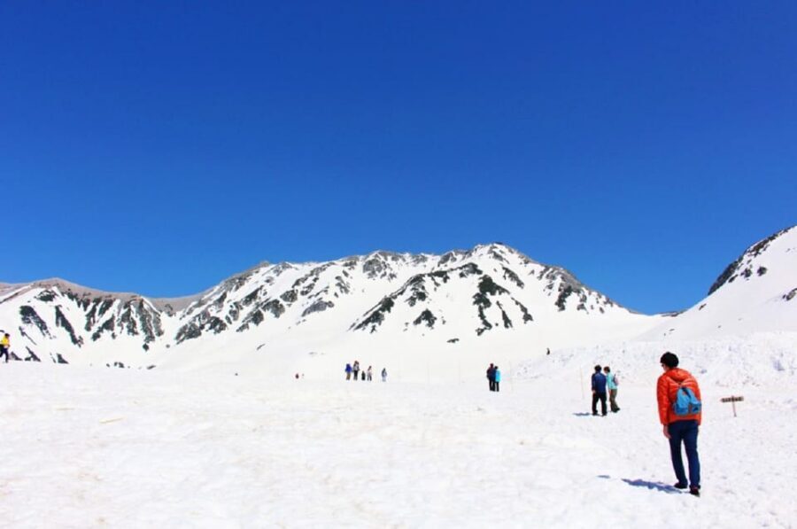 From Nagano: Tateyama-Kurobe Alpine Route - Snow corridor time and museum breaks: how to use your free hours